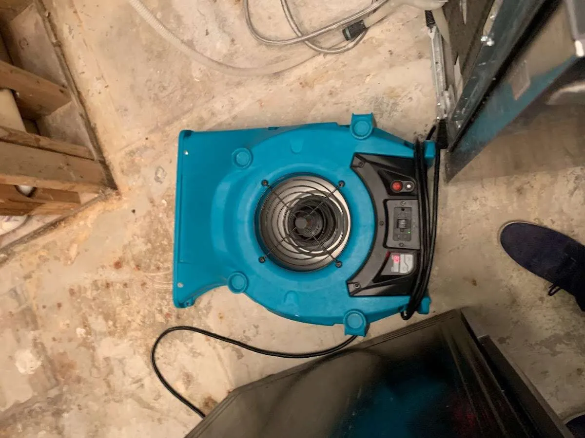 Air mover drying equipment for Mold Remediation & Removal in Winter Park
