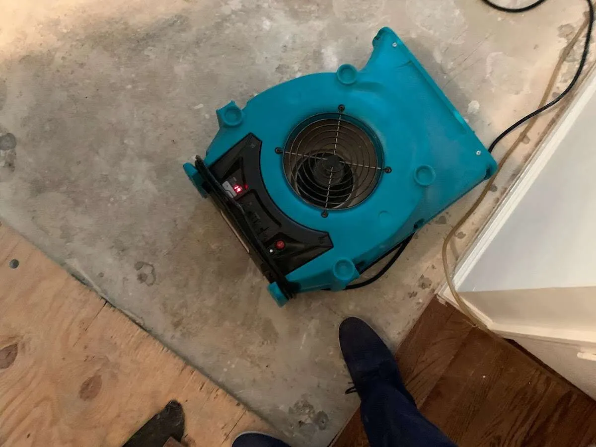 Air mover drying subfloor during Commercial Water Damage Restoration in Winter Park